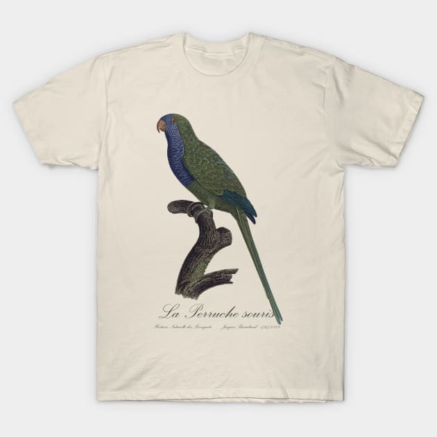 Monk Parakeet / La Perruche Souris - Jacques Barraband 19th century Illustration T-Shirt by SPJE Illustration Photography